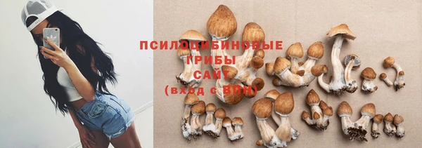 ГАЛЛЮЦИНОГЕННЫЕ ГРИБЫ Бородино