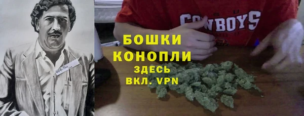 ГАЛЛЮЦИНОГЕННЫЕ ГРИБЫ Бородино