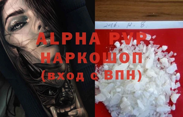 ГАЛЛЮЦИНОГЕННЫЕ ГРИБЫ Бородино