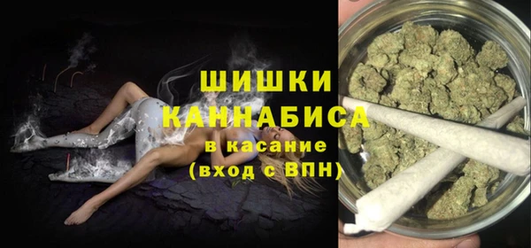 ГАЛЛЮЦИНОГЕННЫЕ ГРИБЫ Бородино