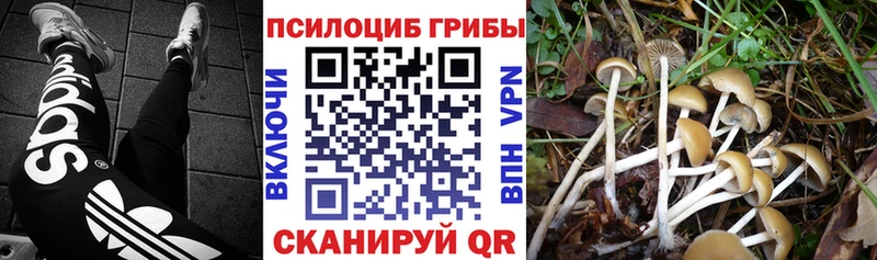 Псилоцибиновые грибы мицелий  hydra рабочий сайт  Мончегорск 
