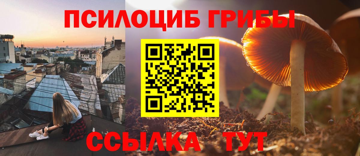 Галлюциногенные грибы Cubensis Мончегорск
