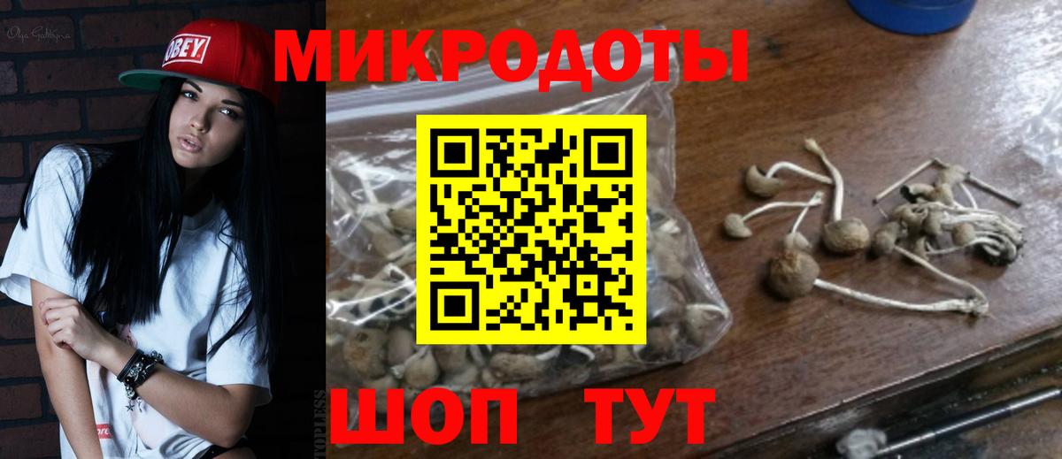 Мончегорск  купить наркотики сайты  Вход с VPN  Галлюциногенные грибы MAGIC MUSHROOMS 